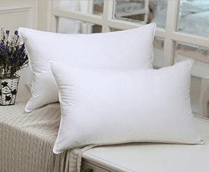 Bacteria Resistant Pillow